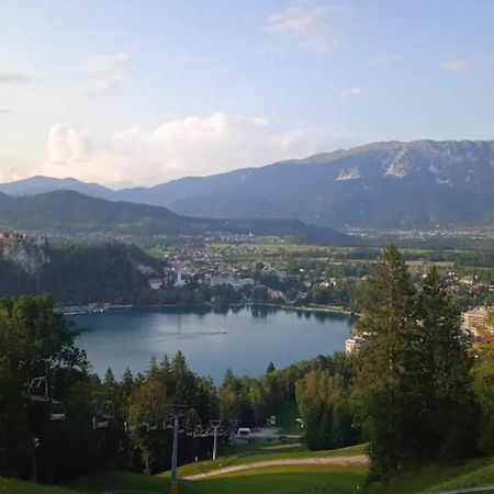 Apartment Bee Near Bled Zabreznica ภายนอก รูปภาพ